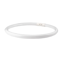 40W Cool White Fluorescent Circle Tube